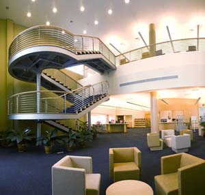 ystlibrary2